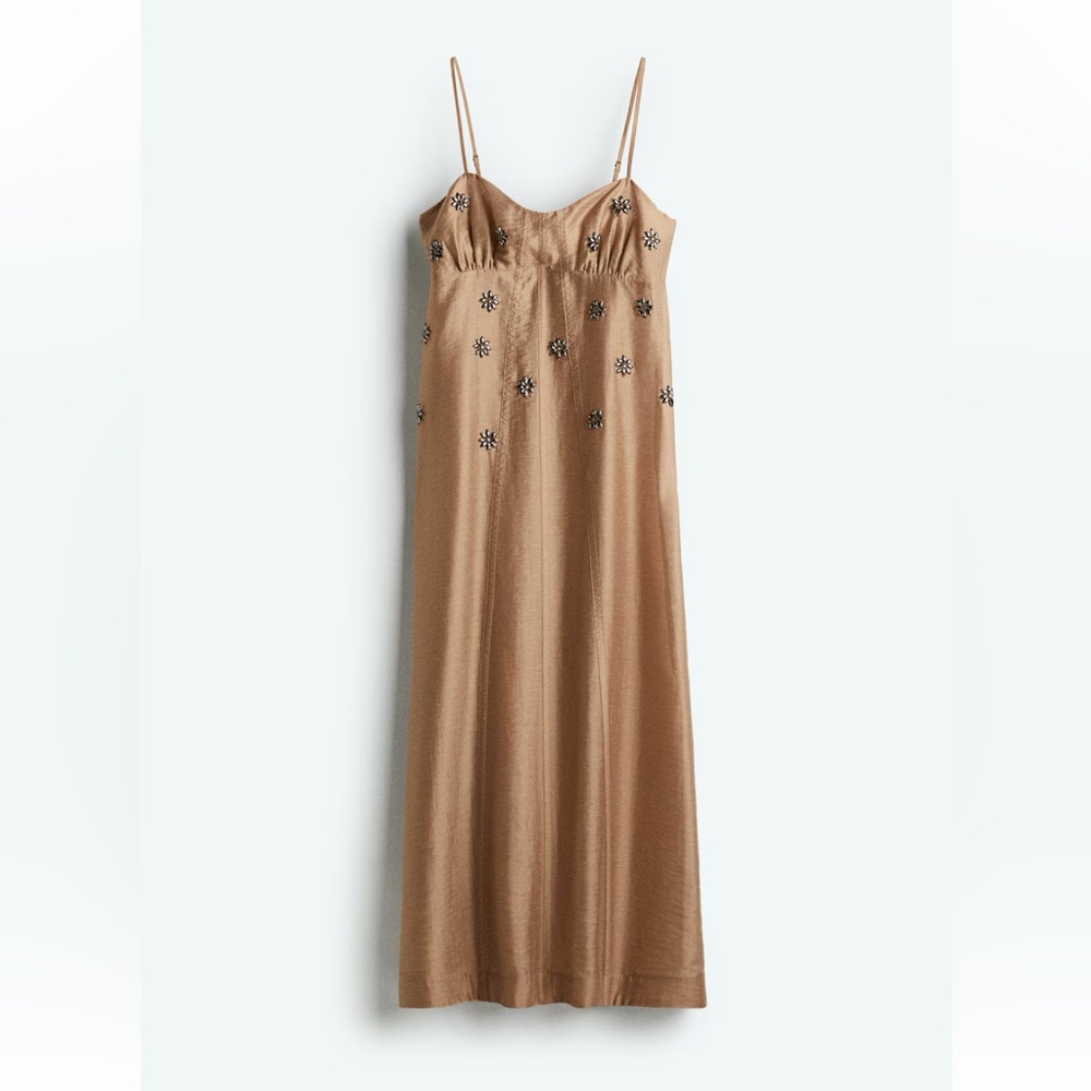 Sheer Embellished Dress
